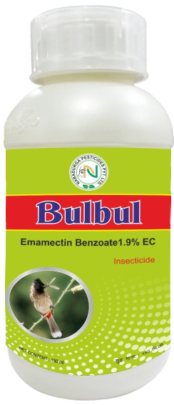 BULBUL