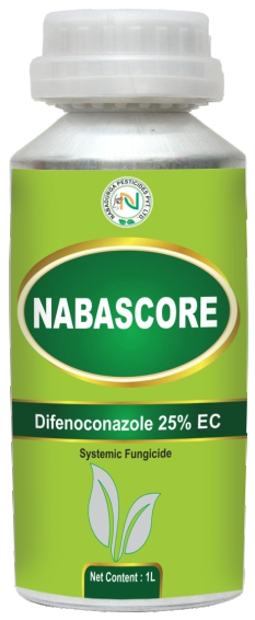 NABASCORE