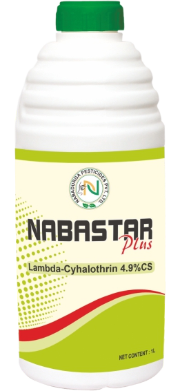 NABASTAR PLUS