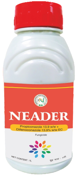 NEADER